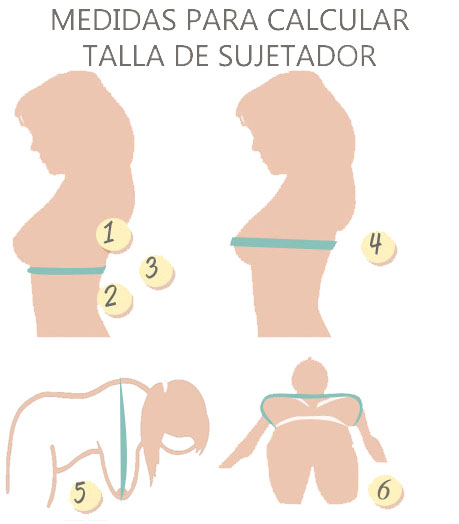 Tabla discount tallas sujetador